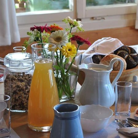 Grosszuegige Ferienwohnung Am Skigebiet Boedele Mit Rheintalblick Дорнбирн Екстериор снимка