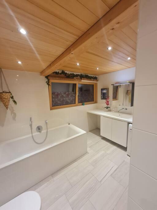 Grosszuegige Ferienwohnung Am Skigebiet Boedele Mit Rheintalblick Дорнбирн Екстериор снимка